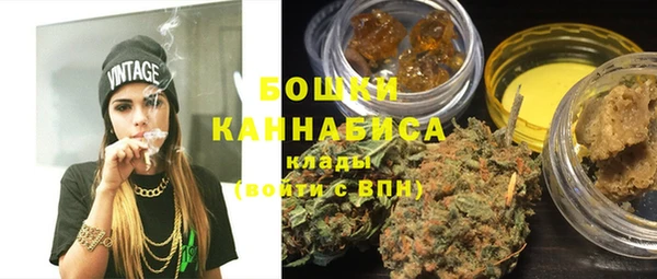 mdpv Каменка